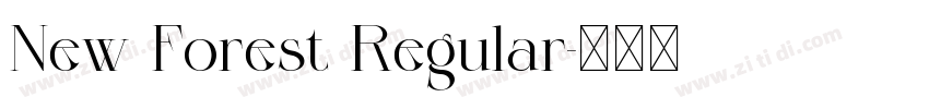 New Forest Regular字体转换